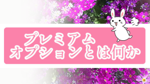 プレミアムオプションとは何か