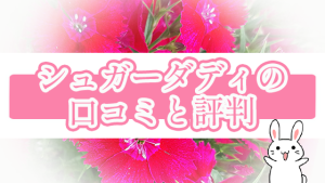 シュガーダディの口コミと評判