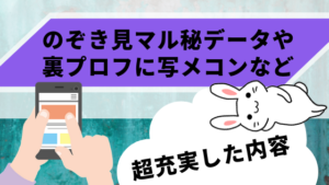 のぞき見マル秘データや裏プロフに写メコンなど超充実した内容